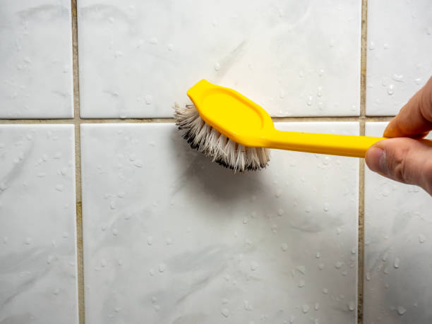 Friendswood, TX Mold Removal Company