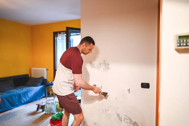 Best Residential Mold Removal  in Friendswood, TX